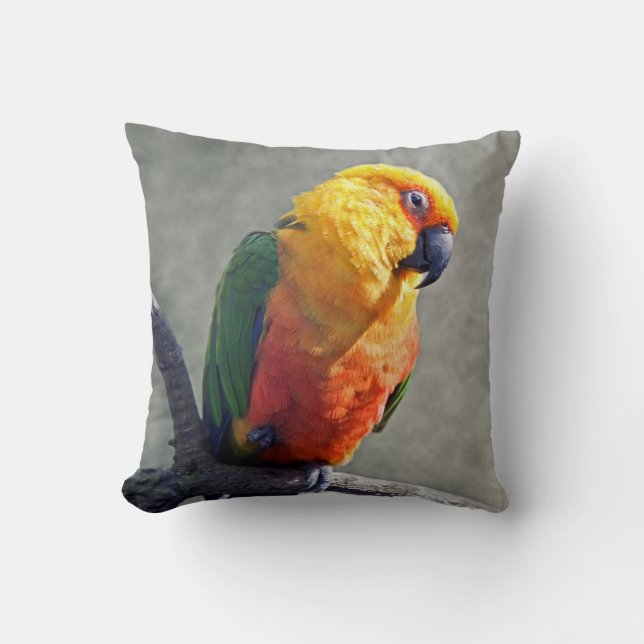 Almohada de Jenday Conure (Anverso)