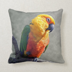 Almohada de Jenday Conure