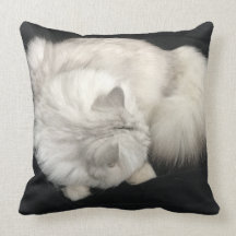 Almohada de la abrazo del gato
