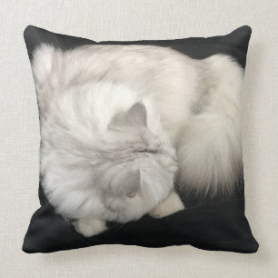 Almohada de la abrazo del gato