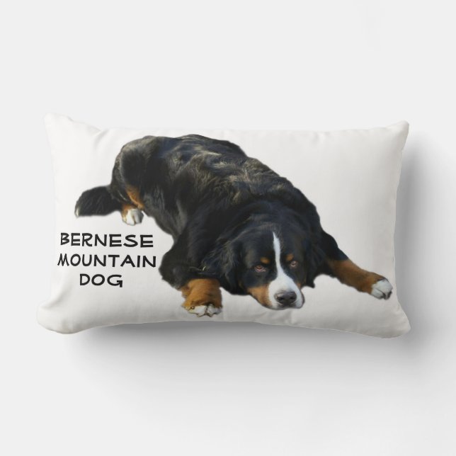 Almohada de la actitud de la manta del perro de (Anverso)