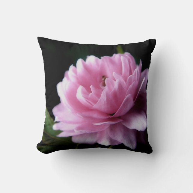 Almohada de la almendra floreciente (Anverso)