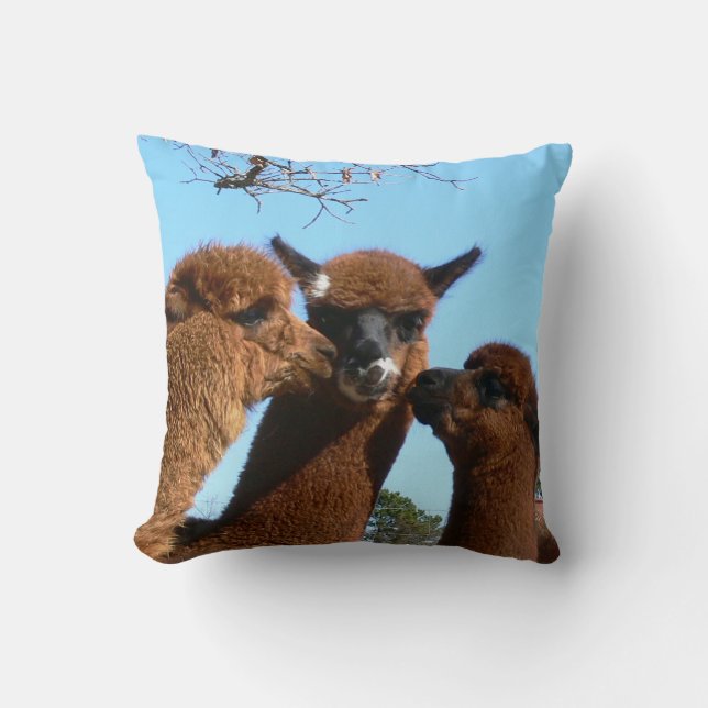 Almohada de la alpaca (Anverso)