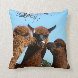 Almohada de la alpaca