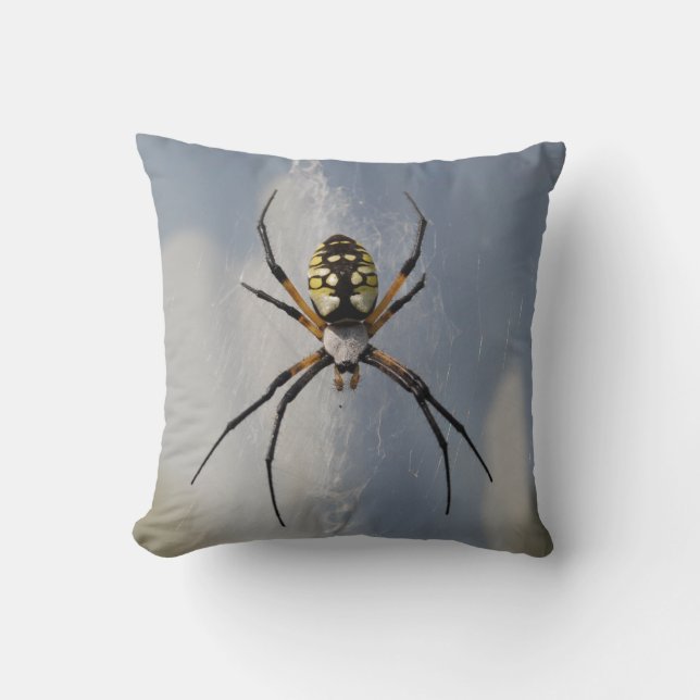 Almohada de la araña del Argiope (Anverso)