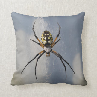 Almohada de la araña del Argiope