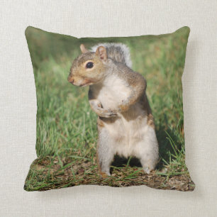 Almohada de la ardilla de gris del este