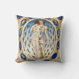 Almohada de la astrología del vintage