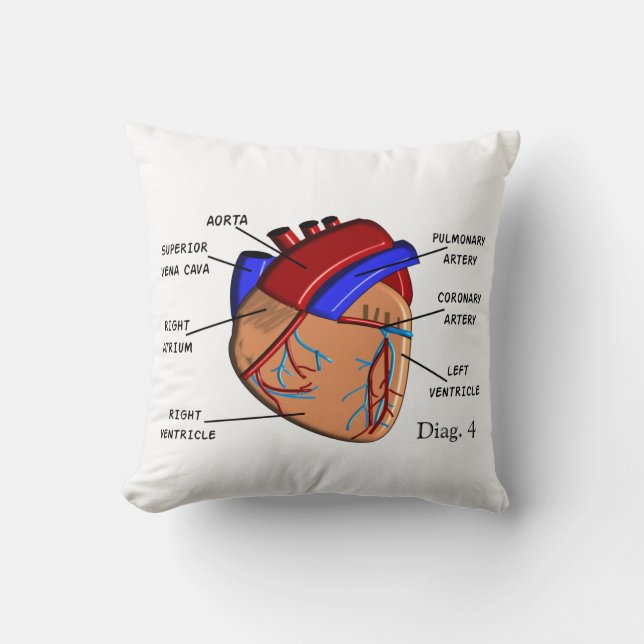 Almohada de la cardiología "el corazón" Diag. 4 (Anverso)