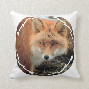 Almohada de la especie del Fox