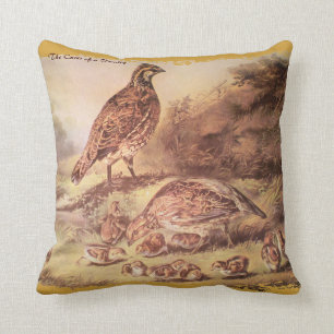 Almohada de la familia de las codornices