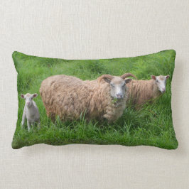 Almohada de la familia de las ovejas