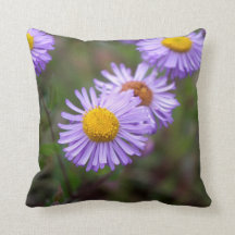 Almohada de la flor de la margarita de Aspen