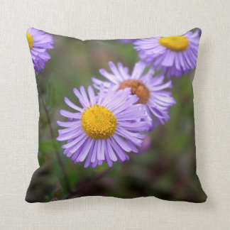 Almohada de la flor de la margarita de Aspen