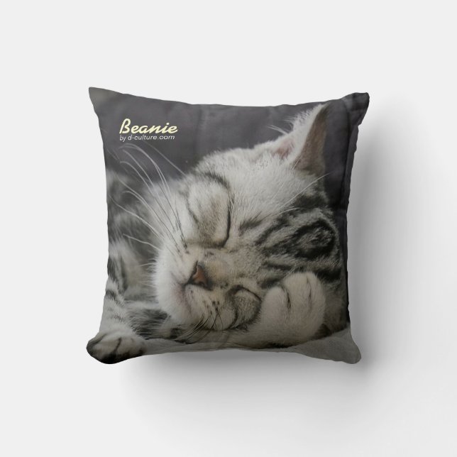 Almohada de la gorrita tejida (Anverso)