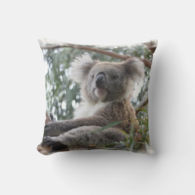 Almohada de la koala (Anverso)