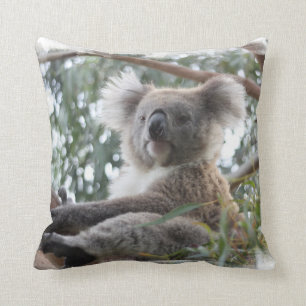 Almohada de la koala