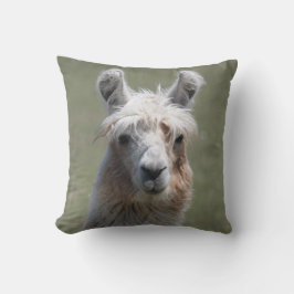 Almohada de la llama