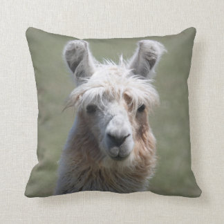 Almohada de la llama