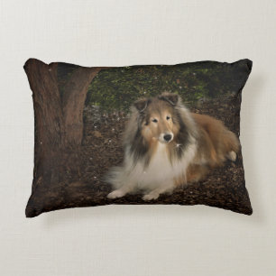 Almohada de la magia de Sheltie