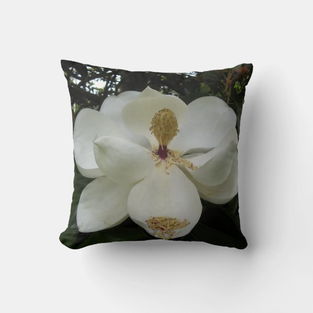 Almohada de la magnolia meridional (Anverso)