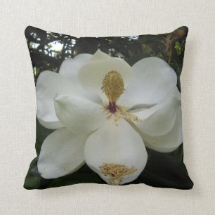 Almohada de la magnolia meridional