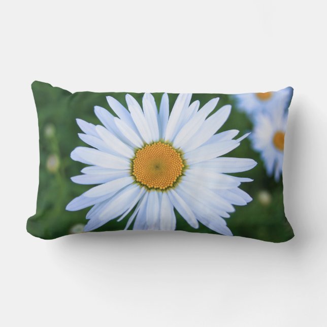 Almohada de la margarita (Anverso)