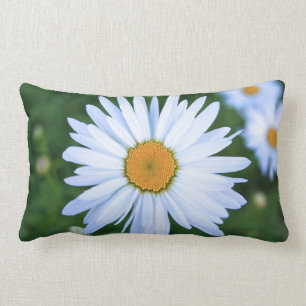 Almohada de la margarita
