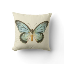 Almohada de la mariposa de la aguamarina del
