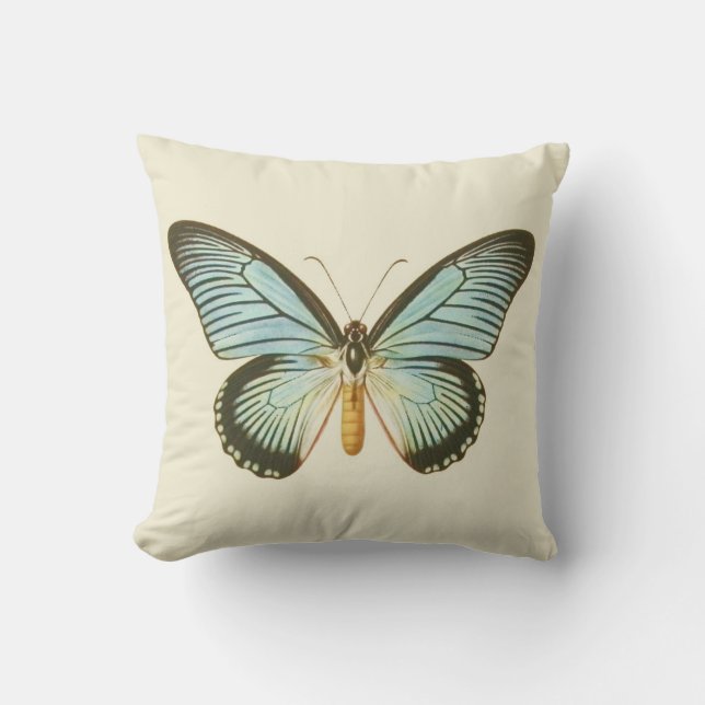 Almohada de la mariposa de la aguamarina del (Anverso)