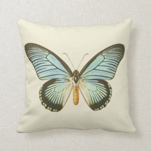 Almohada de la mariposa de la aguamarina del
