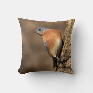Almohada de la Mirada Lateral de Bluebird