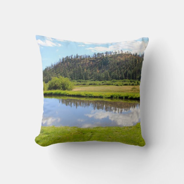 Almohada de la naturaleza (Anverso)