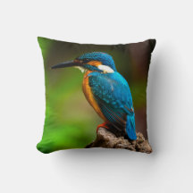 almohada de la naturaleza del pájaro martín pescad