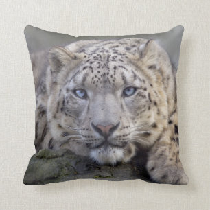 Almohada de la onza de Vishnu