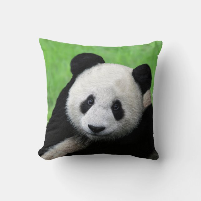Almohada de la panda gigante (Anverso)