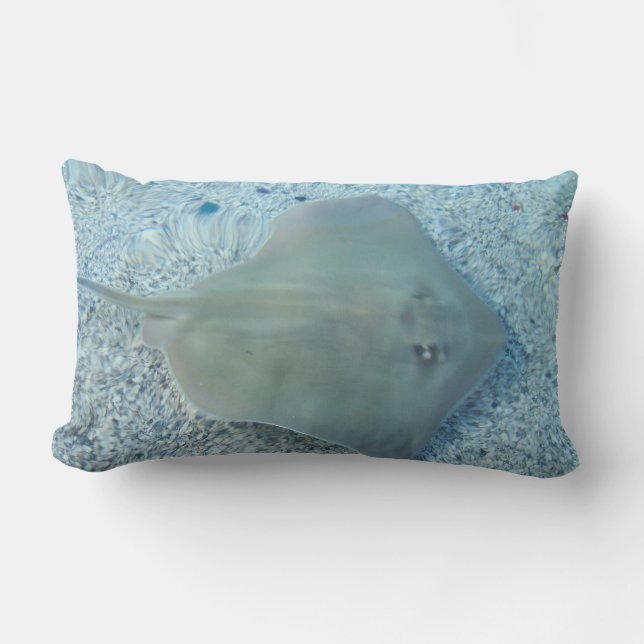 Almohada de la pastinaca del agua dulce (Anverso)