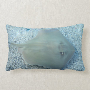 Almohada de la pastinaca del agua dulce