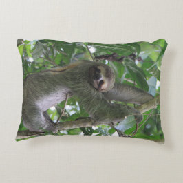 Almohada de la pereza