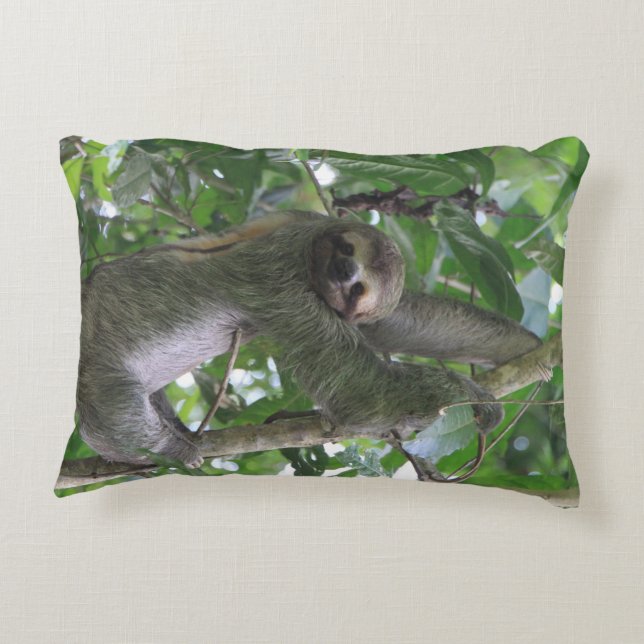 Almohada de la pereza (Reverso)