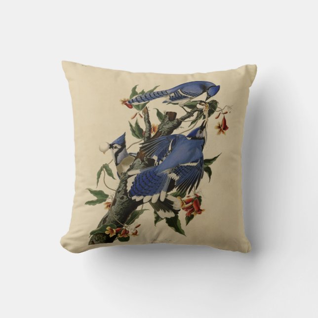 Almohada de la pintura del arrendajo azul (Anverso)