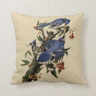 Almohada de la pintura del arrendajo azul