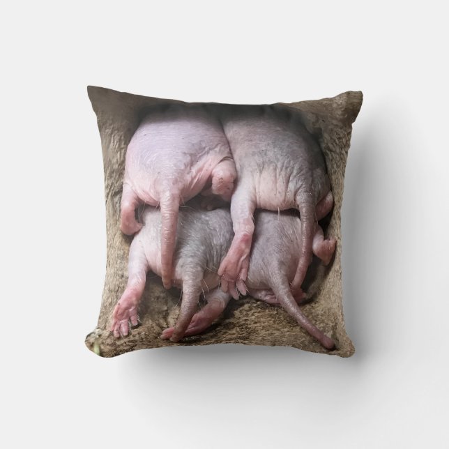 Almohada de la rata de topo desnudo (Anverso)