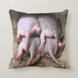 Almohada de la rata de topo desnudo