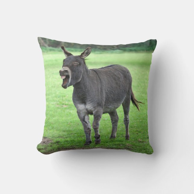Almohada de la risa del burro (Anverso)