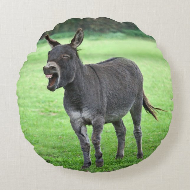 Almohada de la risa del burro (Anverso)