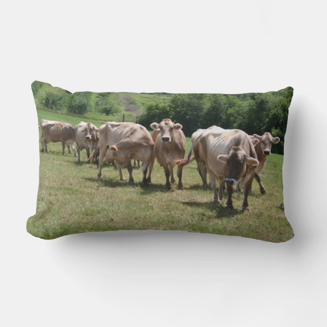 Almohada de la siesta del suizo de Brown (Anverso)