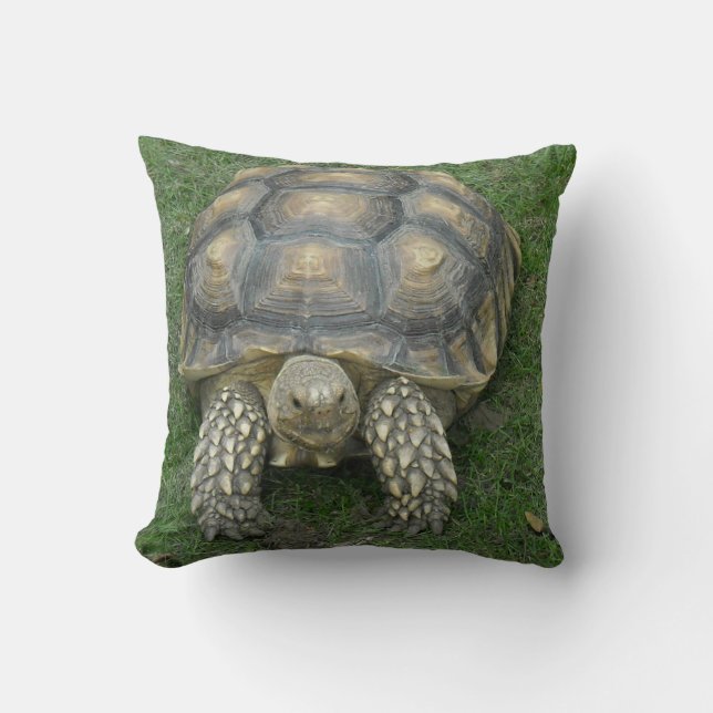 Almohada de la tortuga (Anverso)