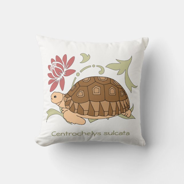 Almohada de la tortuga de Sulcata del bebé (Anverso)