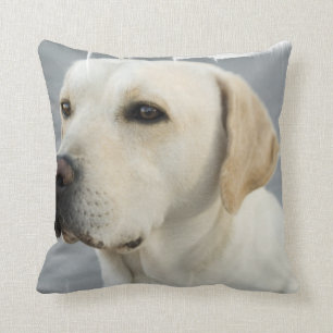 Almohada de laboratorio amarillo